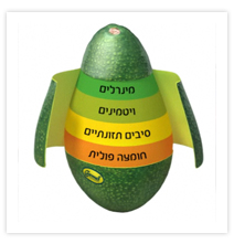 Avocado Carmel - website